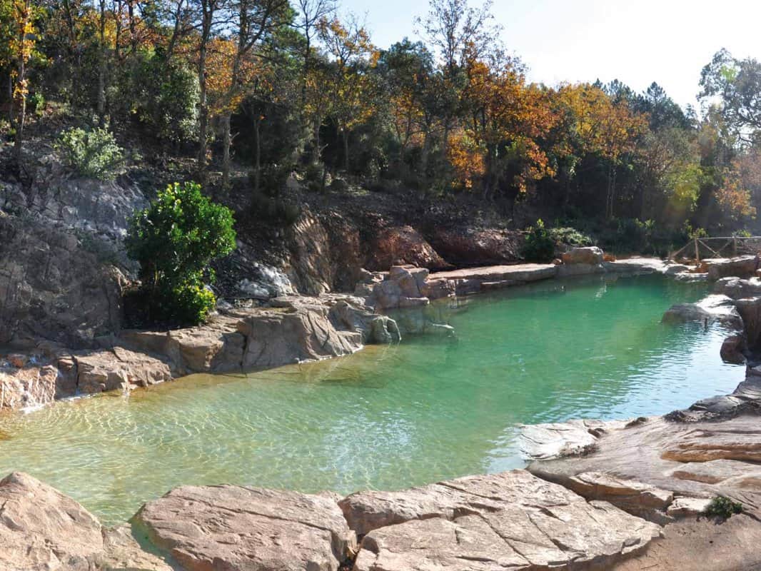 25Waterworld_Piscine naturelle