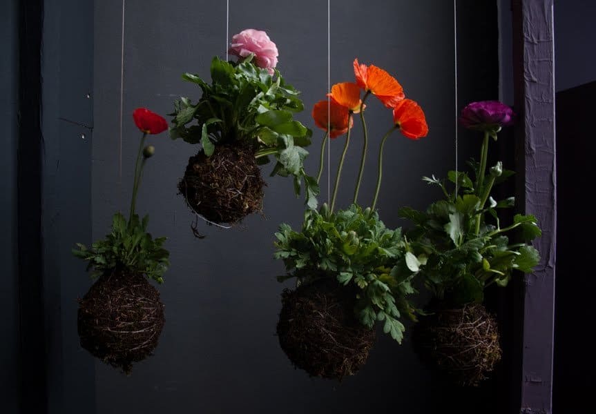 string gardens for the home
