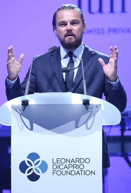 Leonardo dicaprio foundation что это