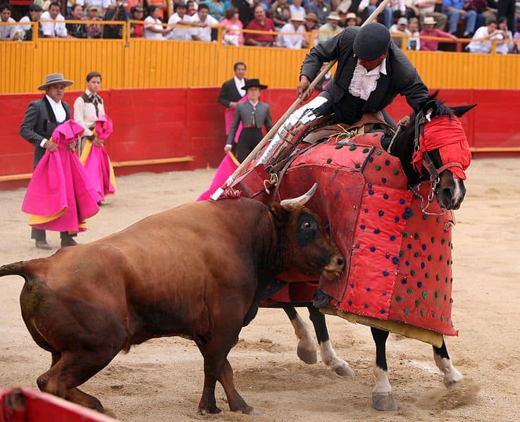 A Bunch of Bull Why We Must End Bullfighting Eluxe Magazine