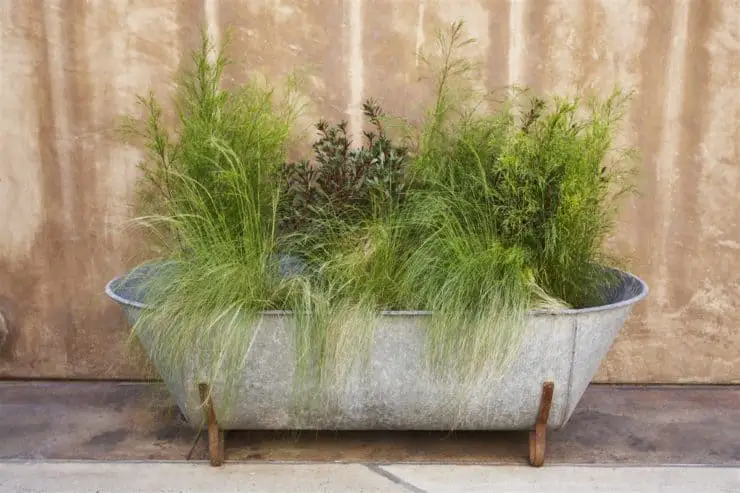 ideas for urban gardening in small spaces