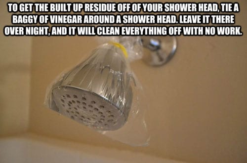 shower head cleaner