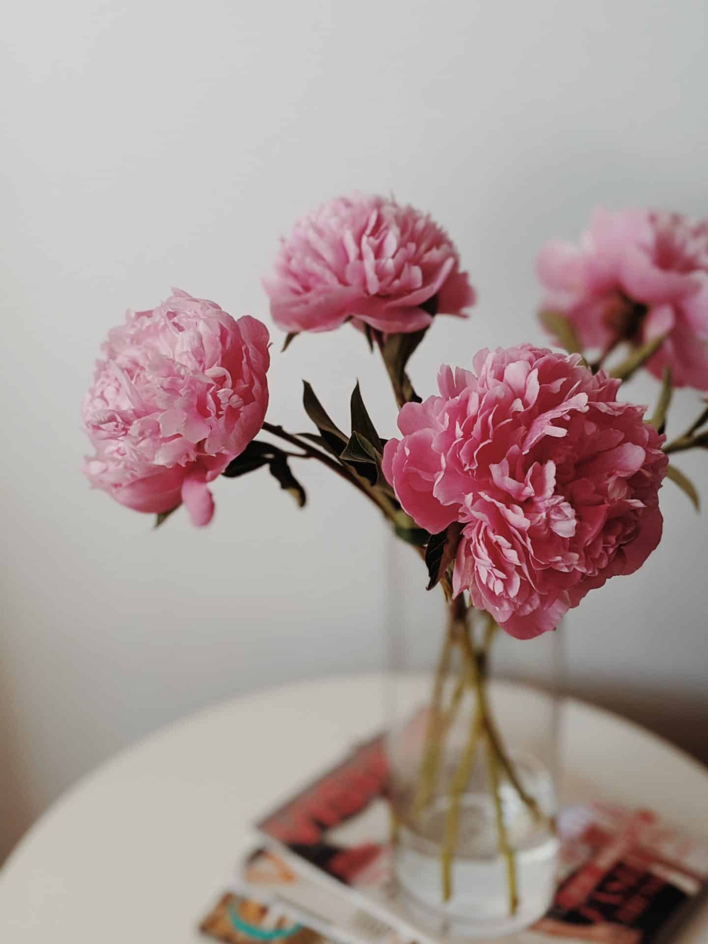 decorating with plants - pink peonies