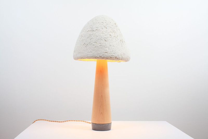 The Bizarre Growth of Mushroom Furniture Eluxe Magazine