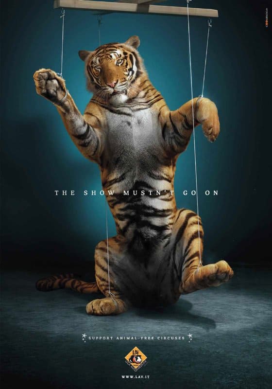 20 Powerful Adverts To Save Animals