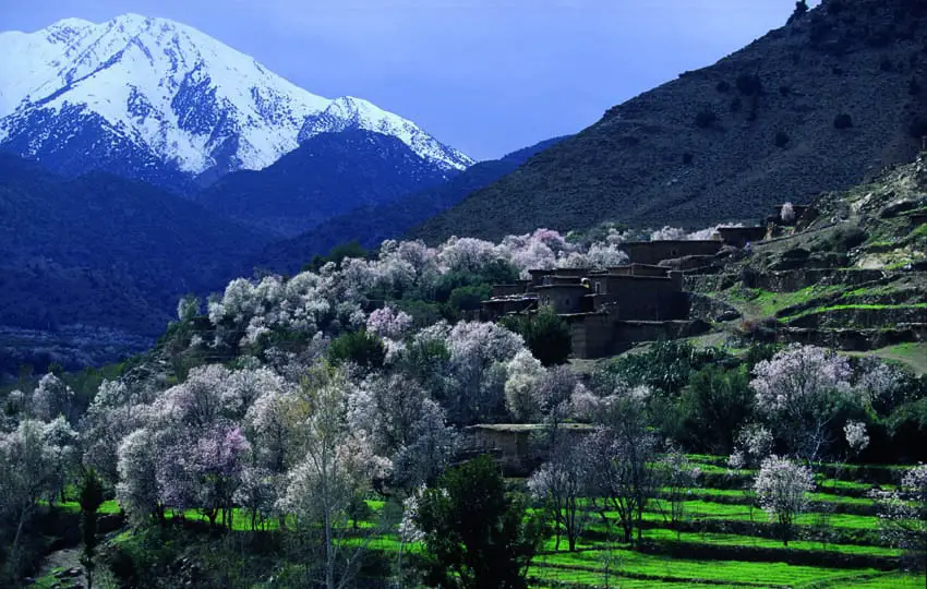 Morocco_Valley-of-Ourika