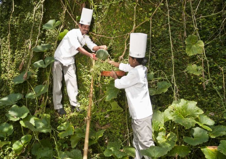 Walk This Way! The Best Hotels for Walkers Eluxe Magazine