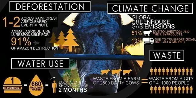 cowspiracy facts