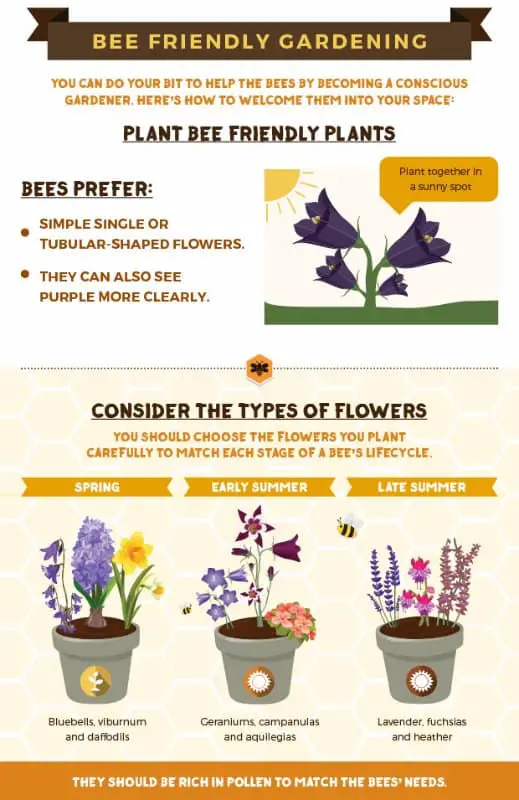 how to help save more bees