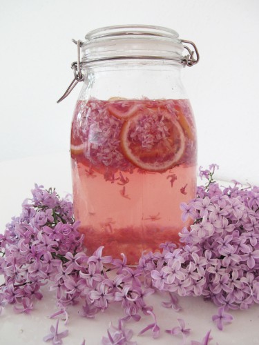 lilac cordial recipe