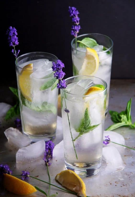 garden gin fizz cocktail