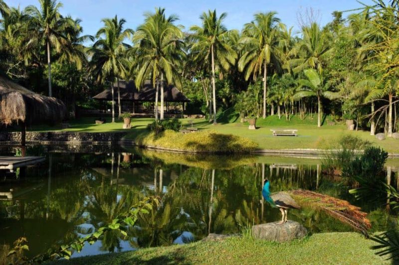 The Best Weight Loss Retreats Around The World