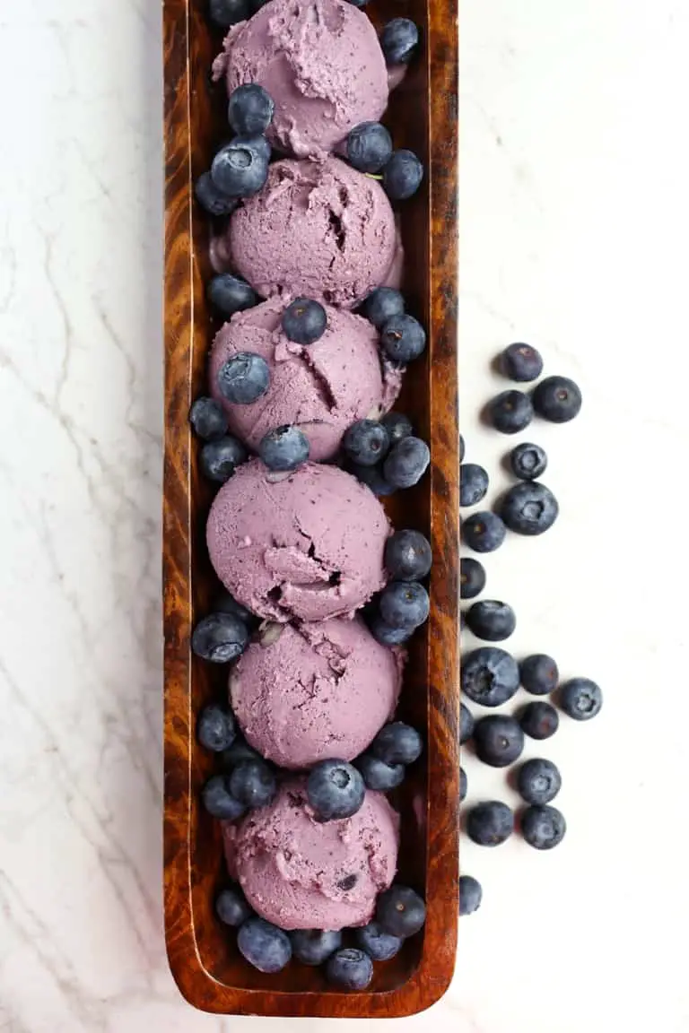 vegan blueberry ice cream