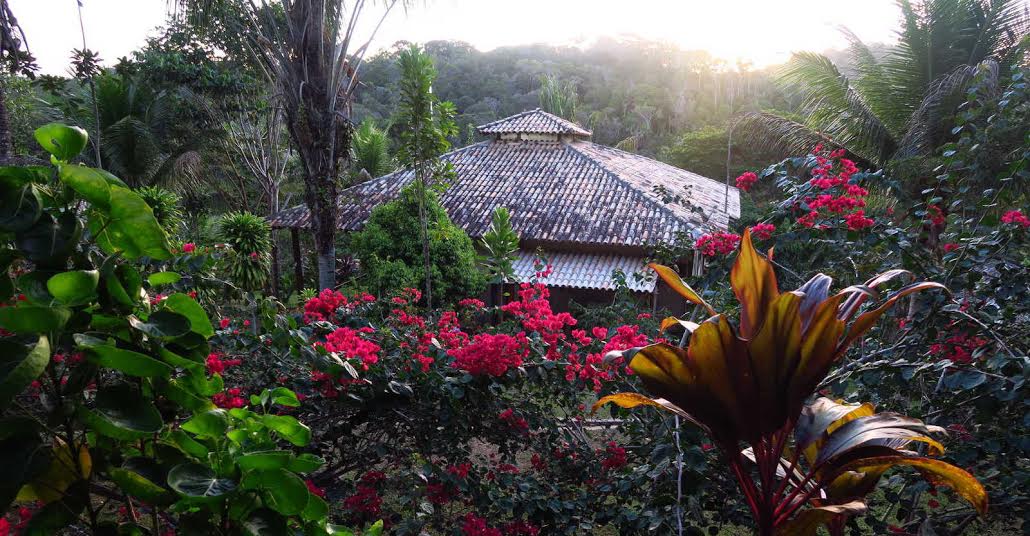 The Best Ayahuasca Retreats Around The World Reviewed Eluxe