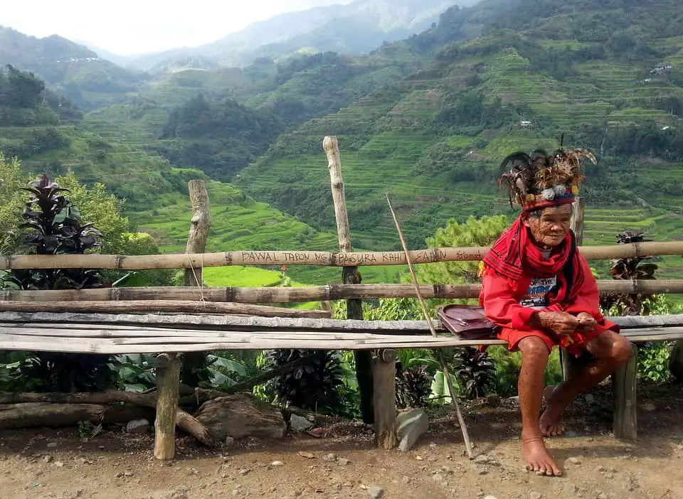 is ayahuasca tourism harming the amazon