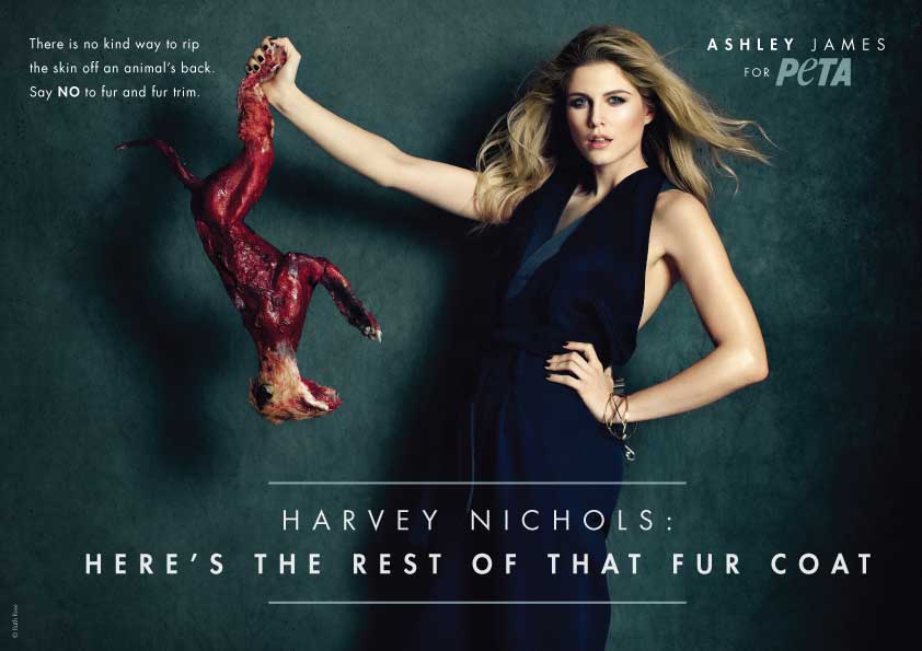 Could Britain Be The World's First Fur Free Nation?