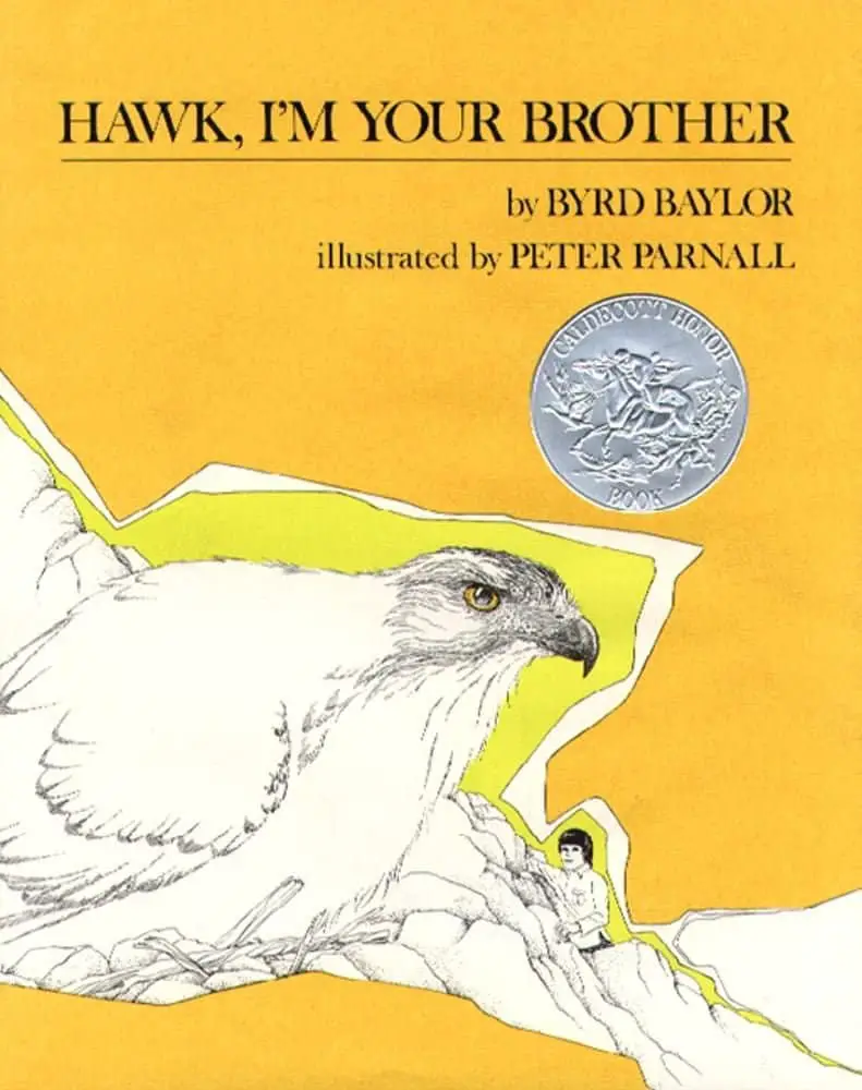 hawk i'm your brother book