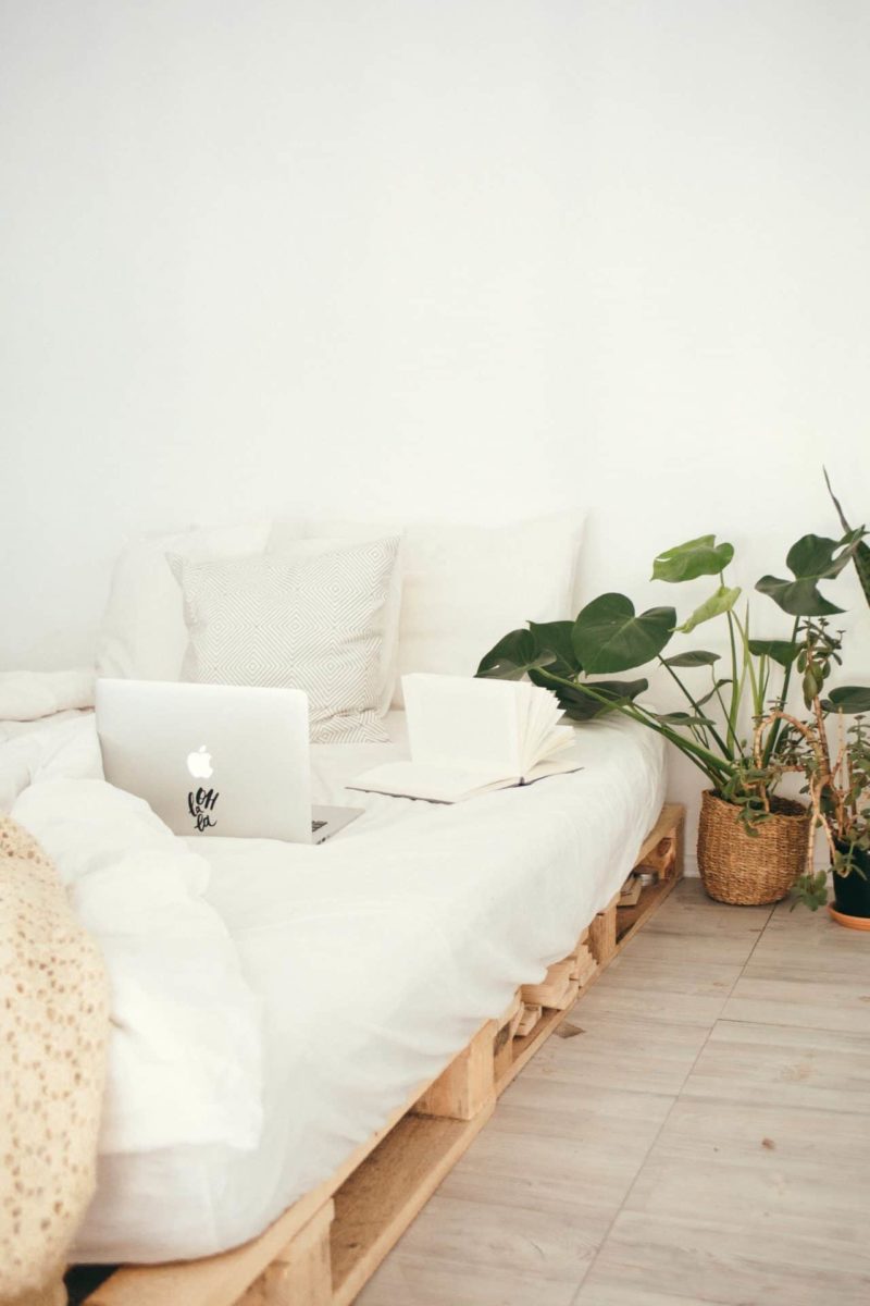 How To Greenify Every Room In Your Home