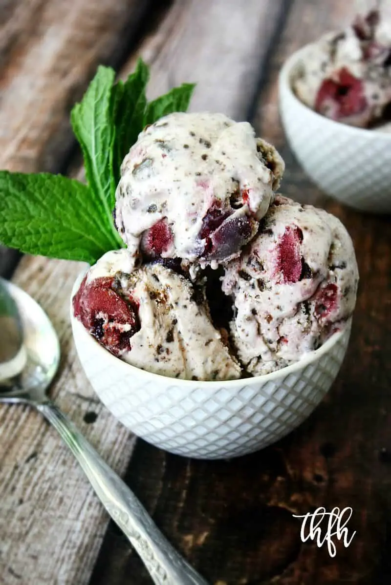 Fancy Vegan Ice Cream Recipes For Adults