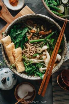 Vegan Japanese Recipes Beyond Sushi Eluxe Magazine