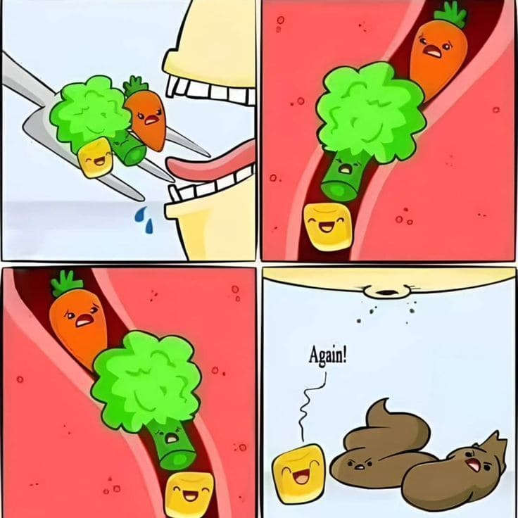 Inspiring Afro Vegans On Instagram