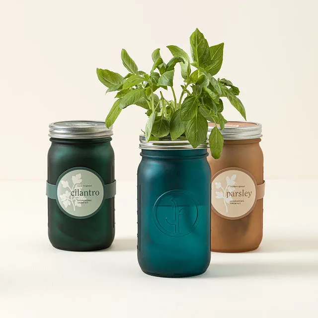 jar herb garden