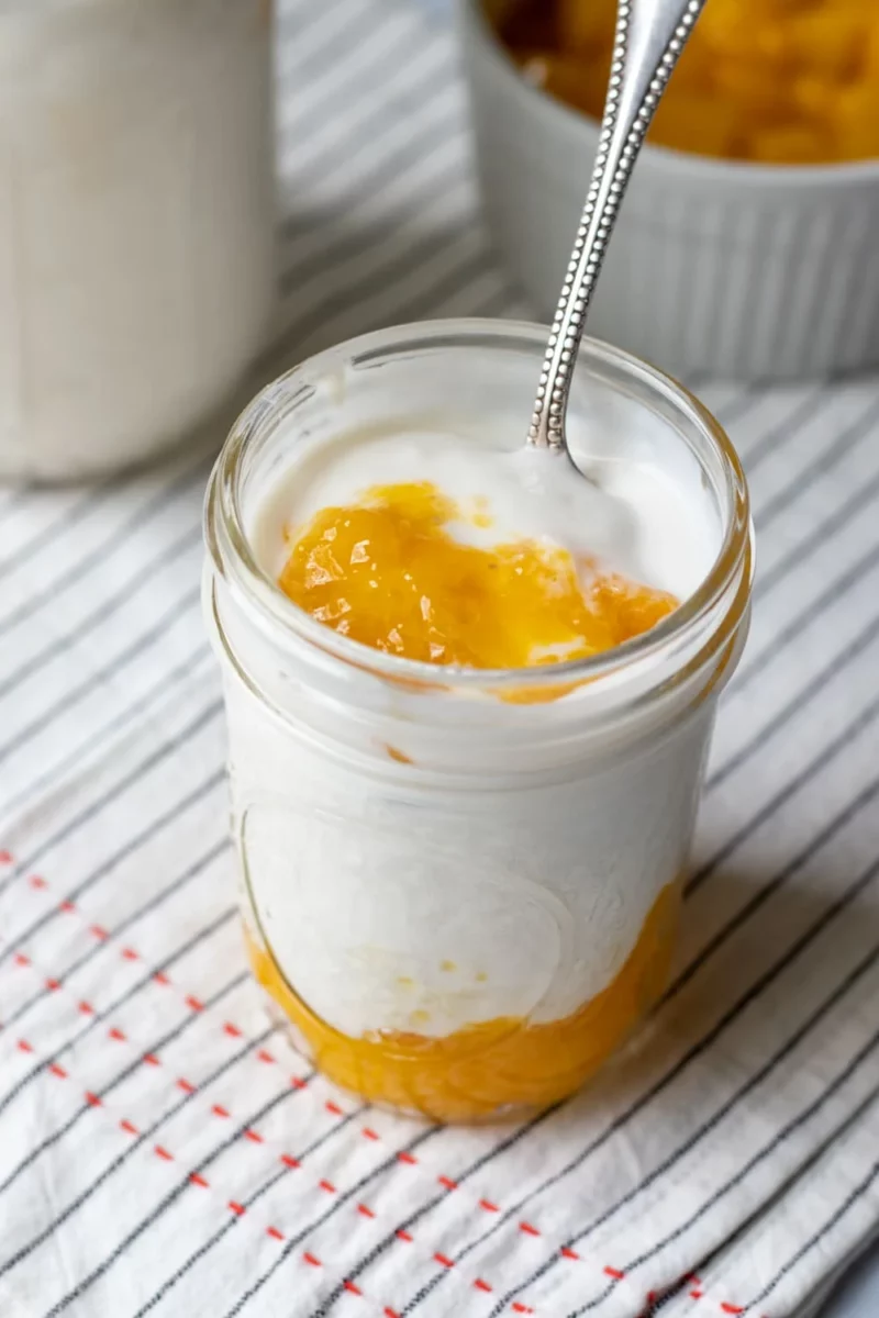 vegan yogurt recipe