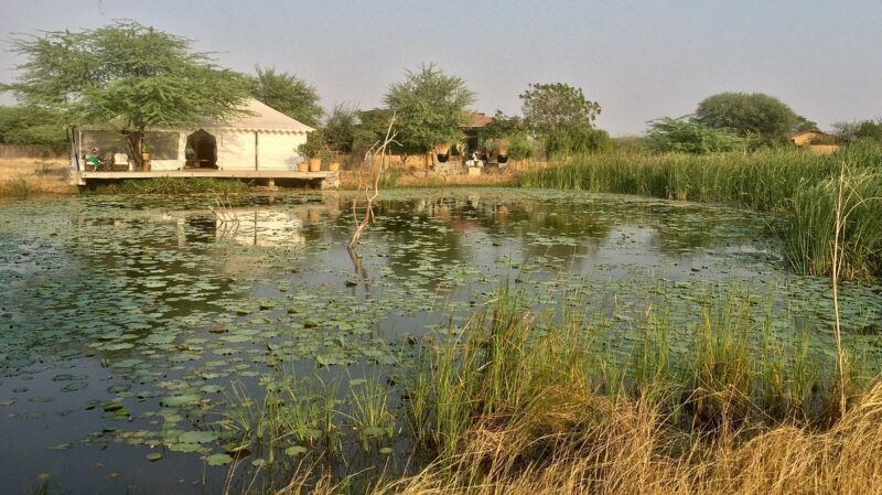 best eco friendly luxury hotels in India