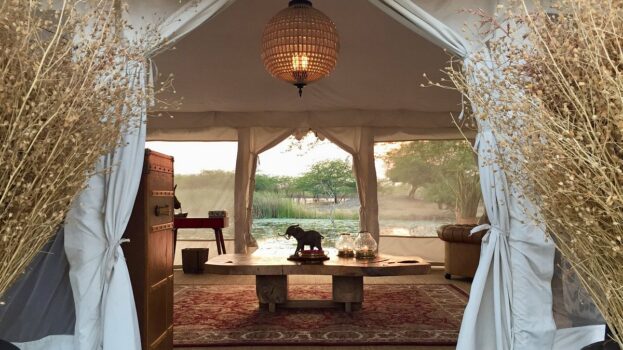 The Blackbuck Lodge India