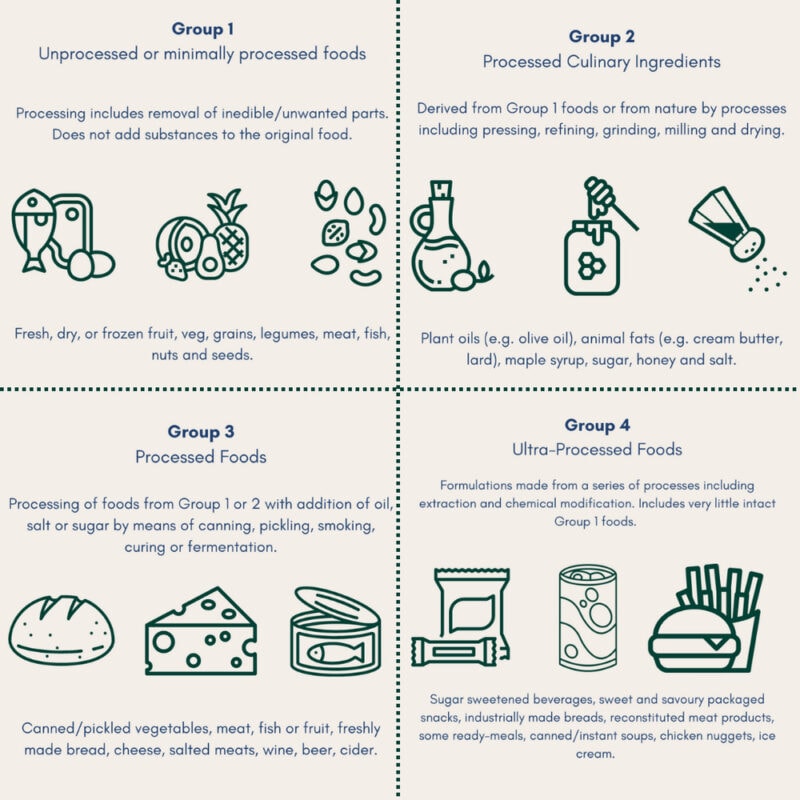 Are Ultra Processed Vegan Foods Bad For You