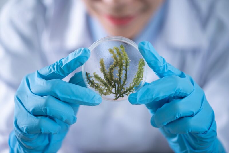 natural science