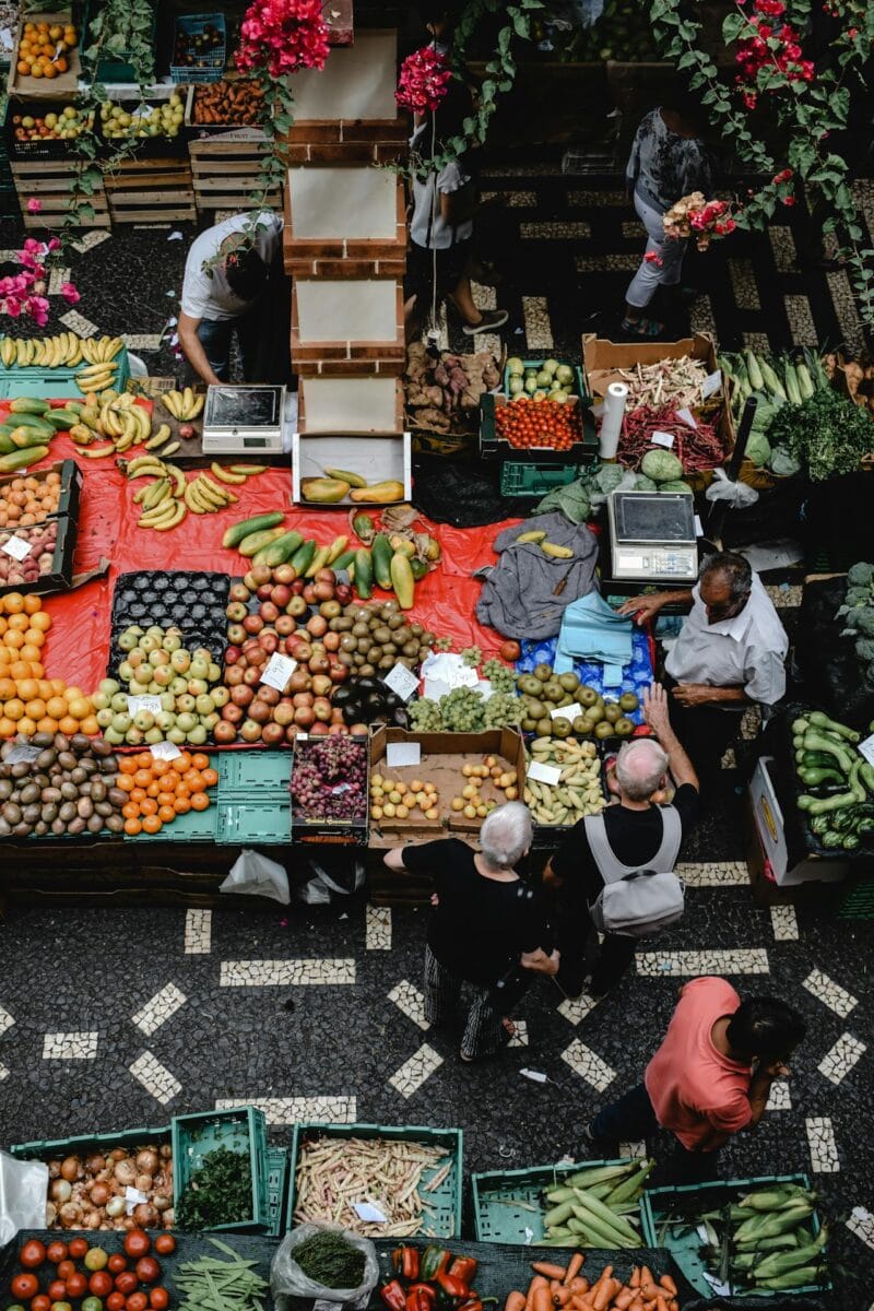 Sustainable Things To Do In New York