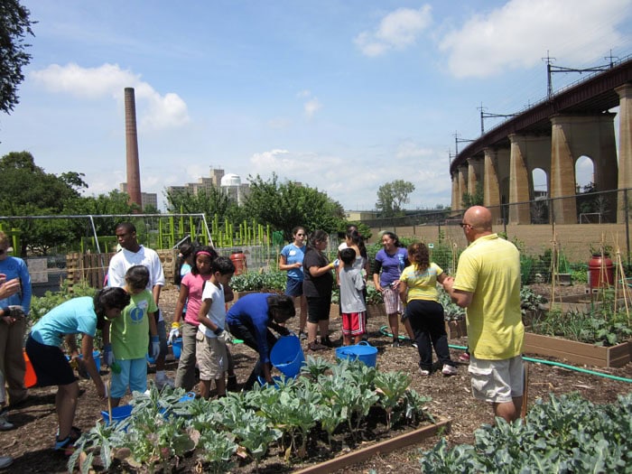 Sustainable Things To Do In New York