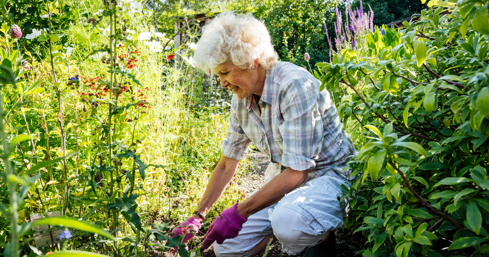 Nobody talks about what it means to grow a garden specifically for the ...
